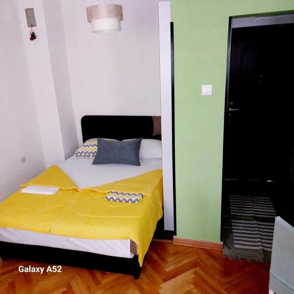 Apartman PAVLE，位于普卢日内的酒店