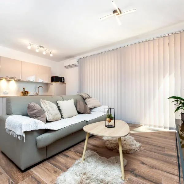 Apartman Lorena，位于罗维尼的酒店
