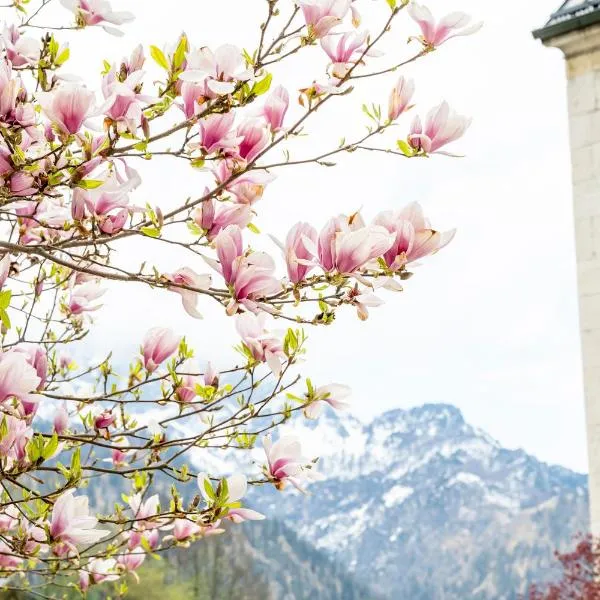 Apartment Marktschellenberg Berchtesgaden Salzburg 1 Zimmer，位于马克特谢伦贝格的酒店