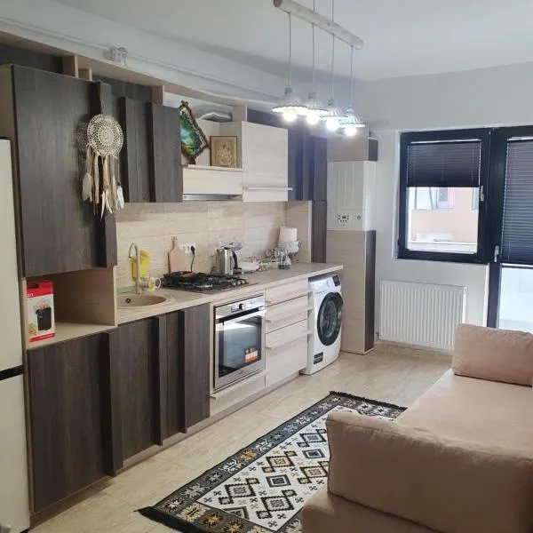 Apartament Castelul Bran，位于大盐矿镇的酒店