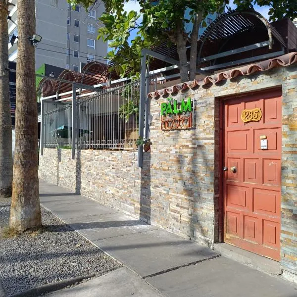 Palm Hostal，位于伊基克的酒店
