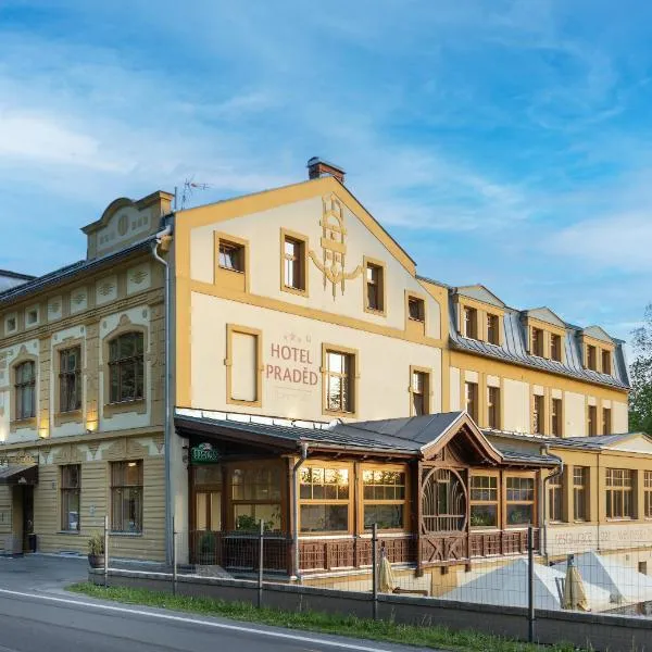 Hotel Praděd Thamm，位于雷吉维兹的酒店