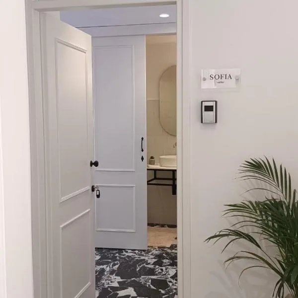 MUSES LUXURY SUITES，位于科孚镇的酒店