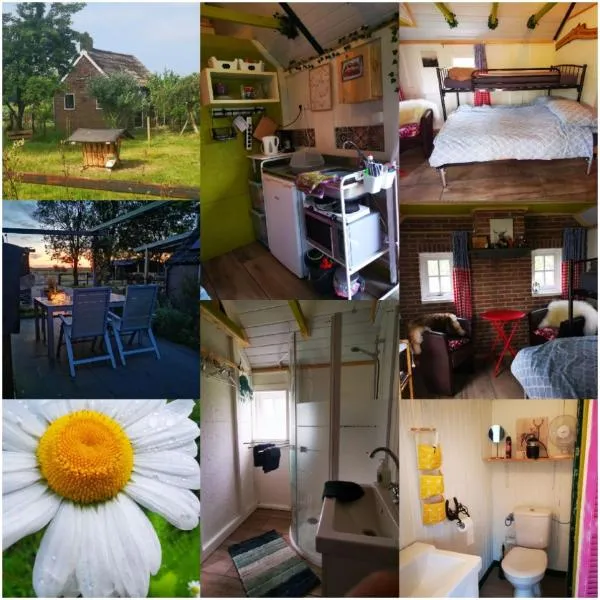 Trekkershut - Tiny House - Hikers cottage，位于Wijster的酒店