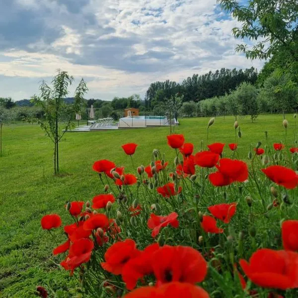 Agriturismo Case in Collina，位于沃尔塔曼托瓦纳的酒店