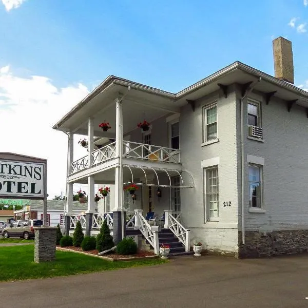 沃特金斯汽车旅馆，位于Montour Falls的酒店