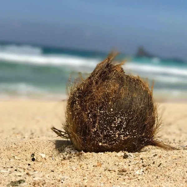 At the Beach，位于Ban Ao Makham的酒店