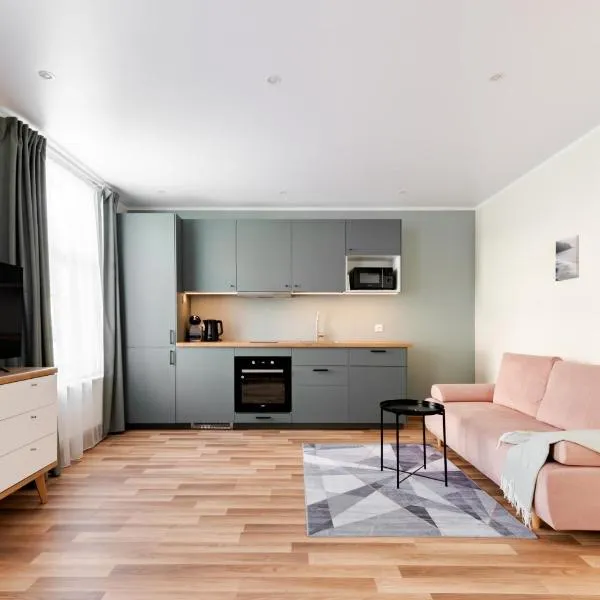 Liidia Apartments，位于哈普萨卢的酒店