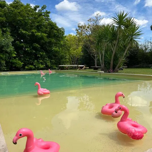 Le Patio, chambres d hôtes pour adultes en Camargue, possibilité de naturisme à la piscine,，位于沃韦尔的酒店