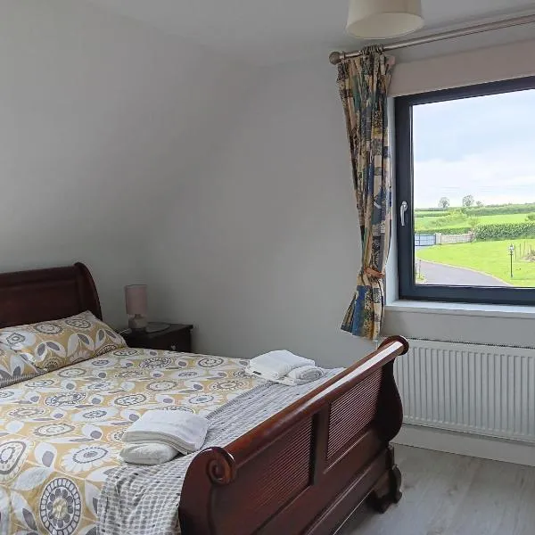 Duplex/2 Bedrooms on Kildare/Carlow/Laois Border，位于Baltinglass的酒店