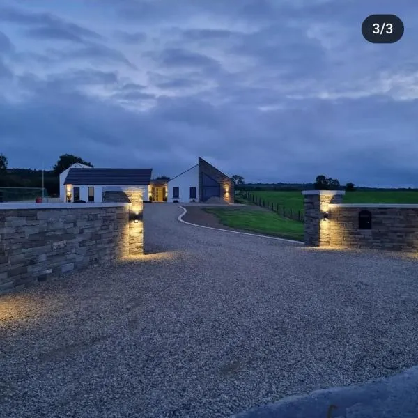 Lovely Laois Loft Apartment，位于卡洛的酒店