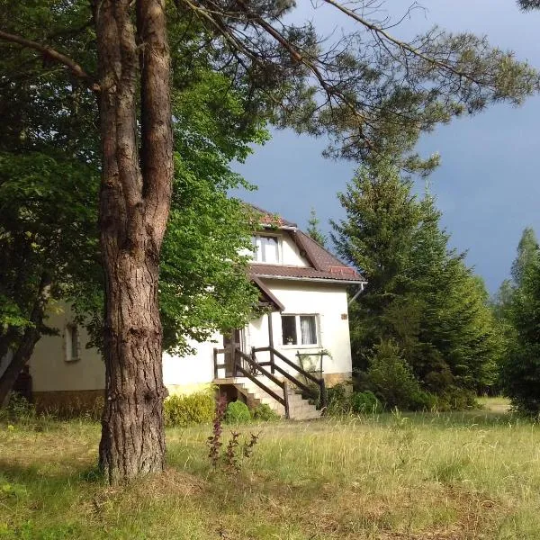 Natura dom w lesie na wyłączność，位于Dziemiany的酒店