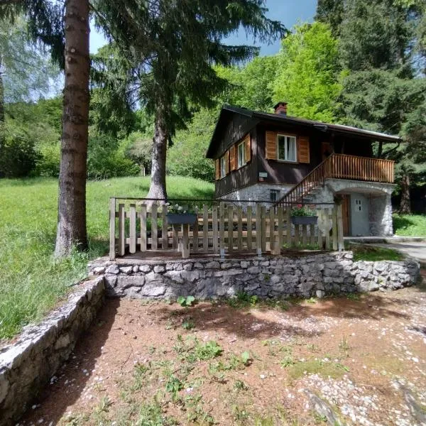 Počitniška hiša Lokve，位于Trnovo的酒店