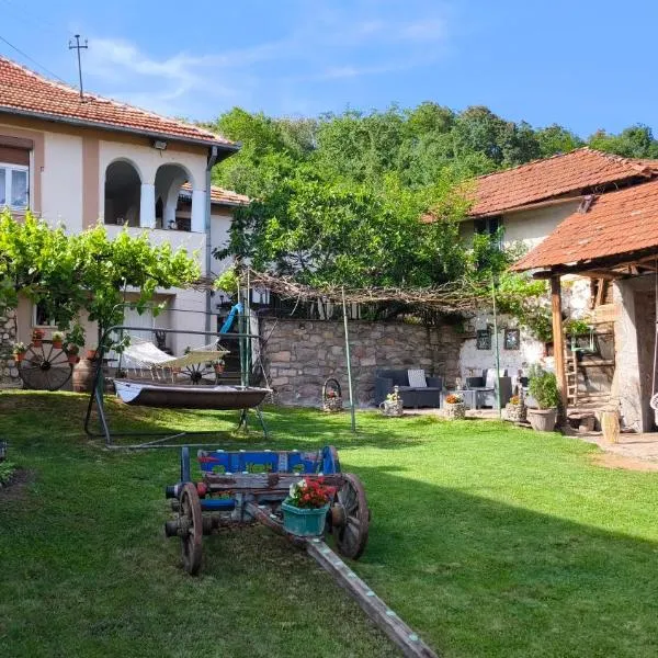 Vila Kruna，位于皮罗特的酒店