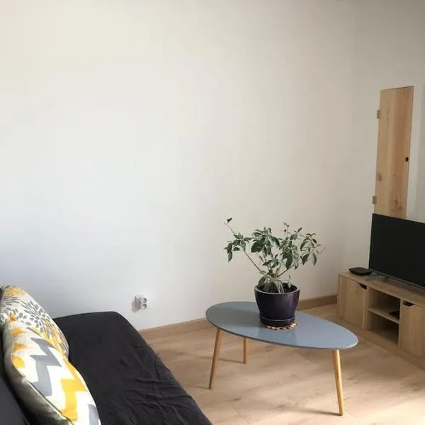 Studio avec terrasse privative de 20 m carré，位于Bénéjacq的酒店