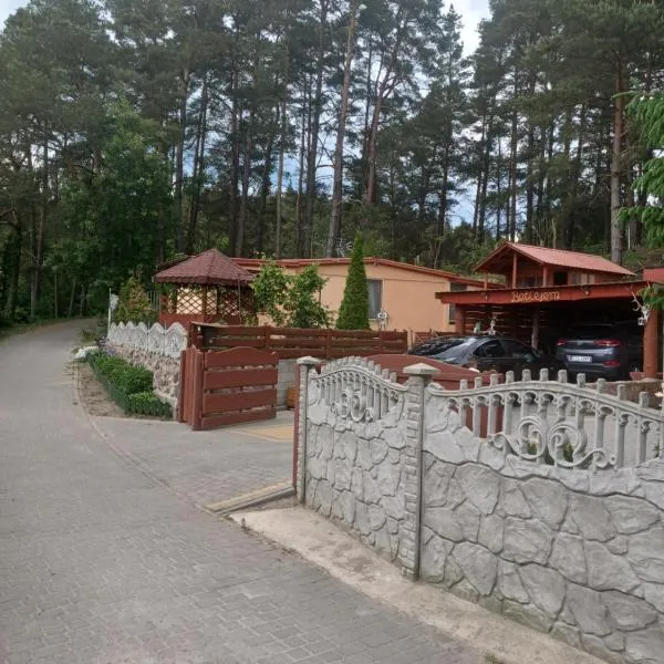 Betlejem Domek nad Jeziorem，位于Cierplewo的酒店