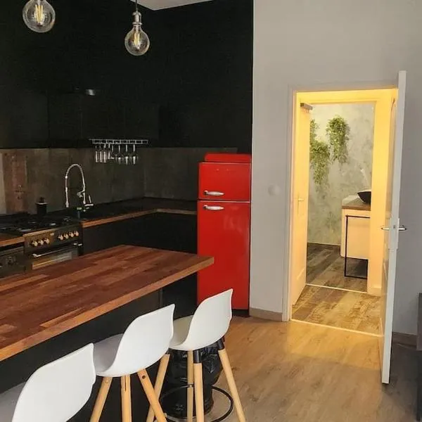 Charmant appartement cosy en hyper-centre，位于图尔的酒店