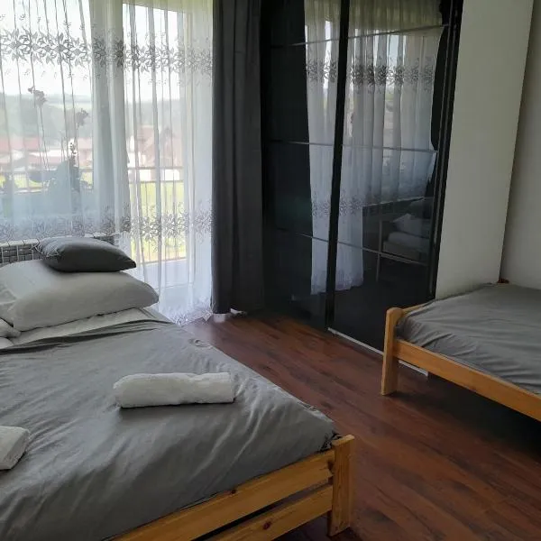 Apartamenty w Pieninach - 2 sypialnie，位于斯洛莫夫采维日奈的酒店