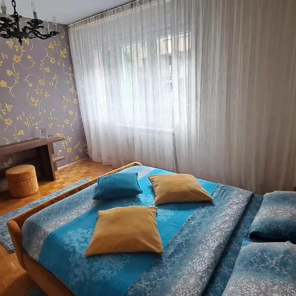 Central Park Apartment，位于查查克的酒店