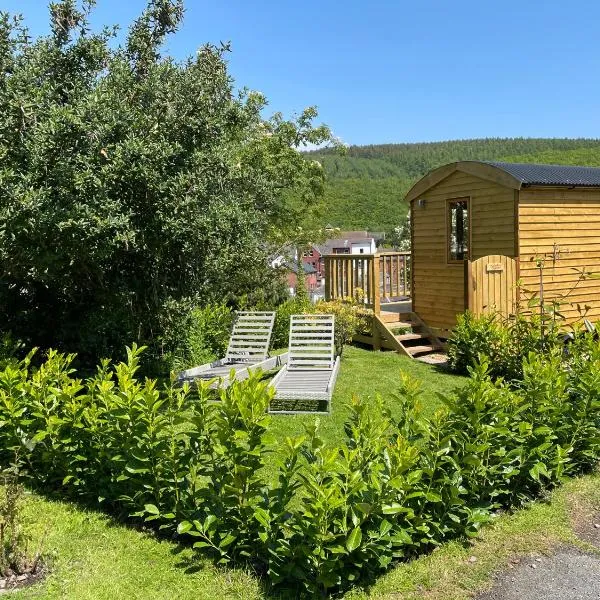 Stylish Shepherds Hut with Amazing Views，位于奈顿的酒店