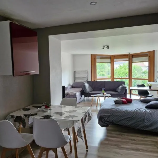 Joli studio une pièce 15min à pied centre dEpinal 4 personnes grâce au canapé lit, parking privé gratuit et parking extérieur gratuit Machine à laver TV wifi machine à café linge de lit et serviettes fournis，位于Chantraine的酒店
