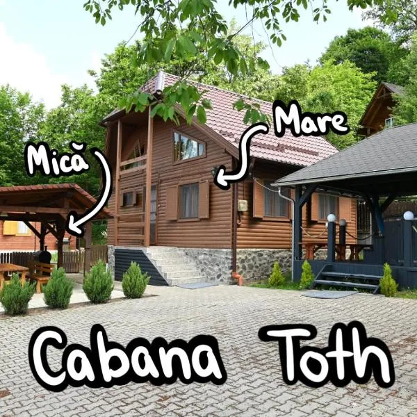 Cabana Toth Mic&Mare，位于索瓦塔的酒店