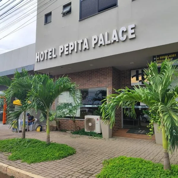 Hotel Pepita Palace，位于锡诺普的酒店