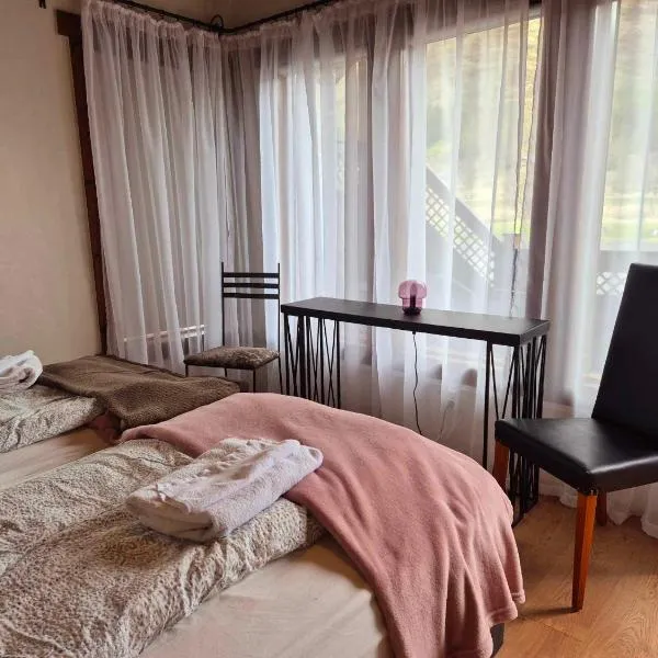 Beautiful Guestroom to rent with a mountain view，位于劳加尔瓦特恩的酒店