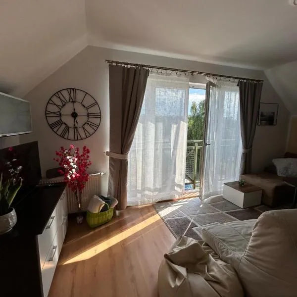 Apartament Róża，位于吉日茨科的酒店