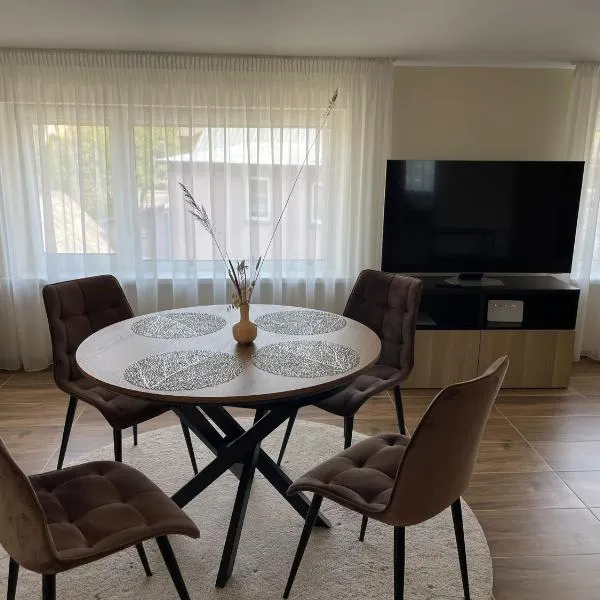 Alvydo apartamentai，位于考纳斯的酒店