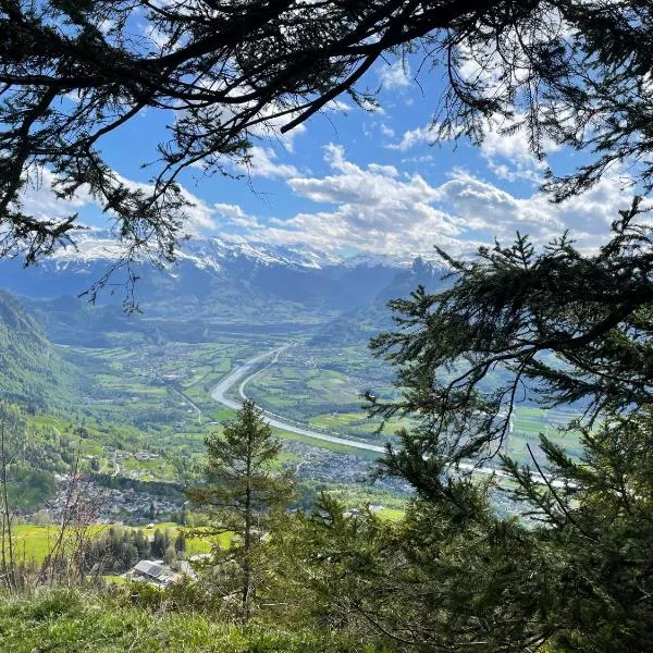 Berggasthaus Matu，位于特里森的酒店