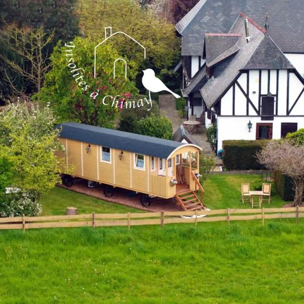 Insolites à Chimay - Roulottes et Manoir - Roulotte Colibri，位于希迈的酒店
