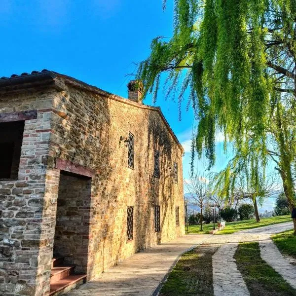 B&B Nel Vigneto，位于Serra San Quirico的酒店