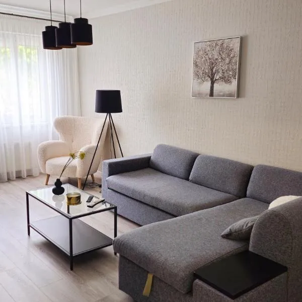 BOGINE Apartament，位于Spuņņi的酒店