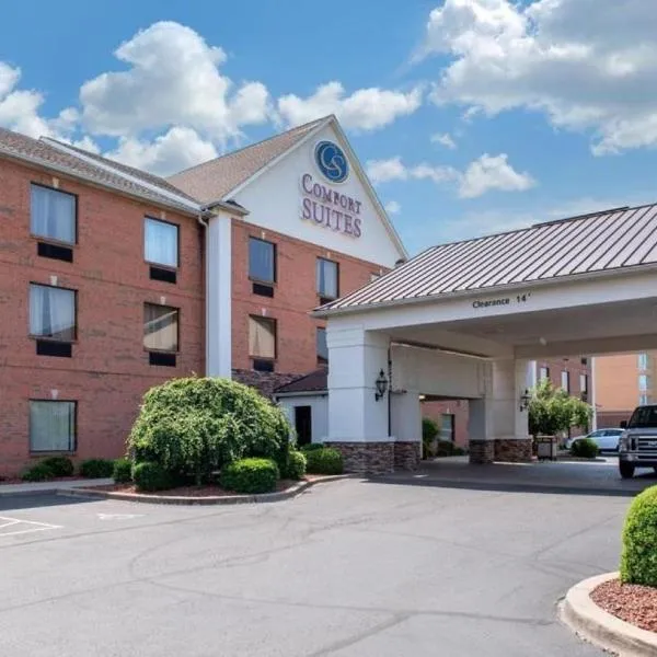 Comfort Suites Louisville Airport，位于Hillview的酒店