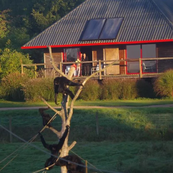 Cerza Safari Lodge，位于Hermival-les-Vaux的酒店