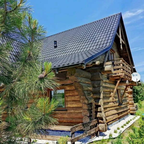 Klimatyczny dom z bali，位于斯科尔茨的酒店