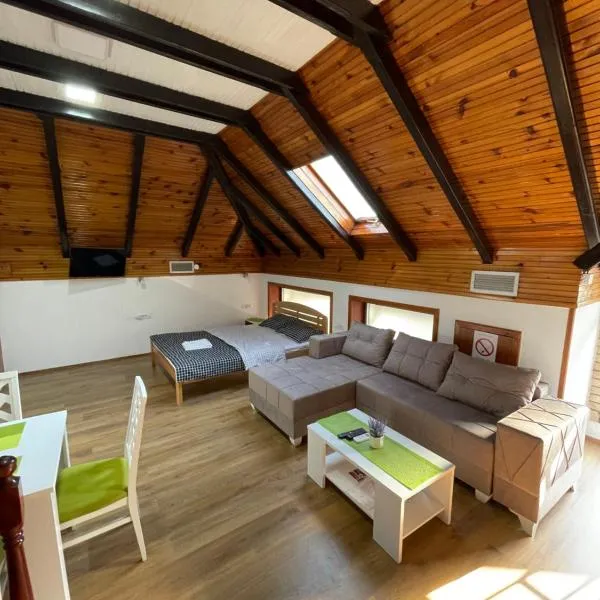 Achillius apartmani Arilje，位于Arilje的酒店