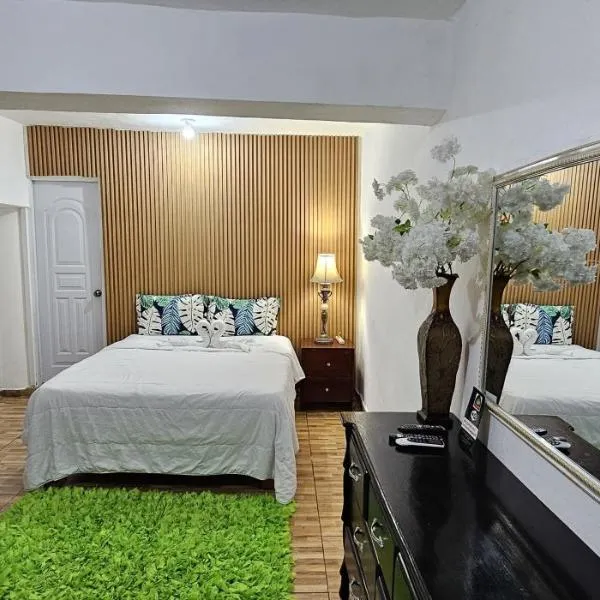 Hotel Cana Palma Zona Colonial，位于Naiboa的酒店