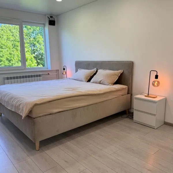 Apartamento de Lujo en Alytus，位于阿利图斯的酒店