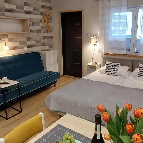 Apartamenty i Mieszkania Wakacyjne，位于查普伊的酒店