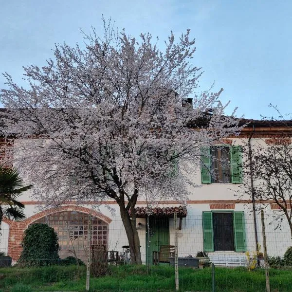 卡希纳帕特里齐亚住宿加早餐旅馆，位于阿斯蒂的酒店