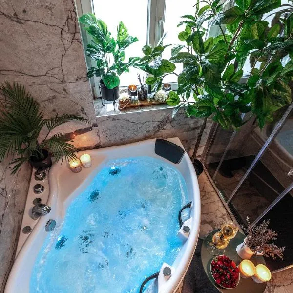 Royale Lumineux Jacuzzi Parking privé，位于米卢斯的酒店