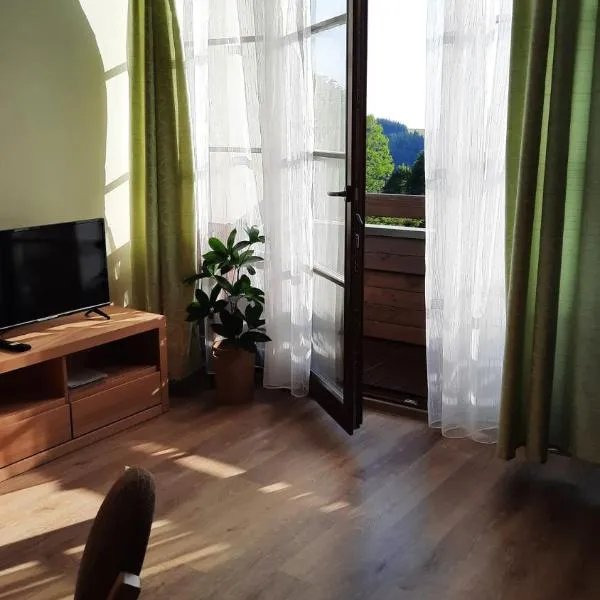 Apartmán PERLA 28, Říčky，位于日茄基的酒店