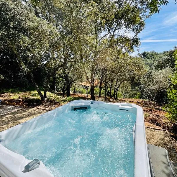 La grange des amoureux piscine jacuzzi et massages，位于勒博塞的酒店