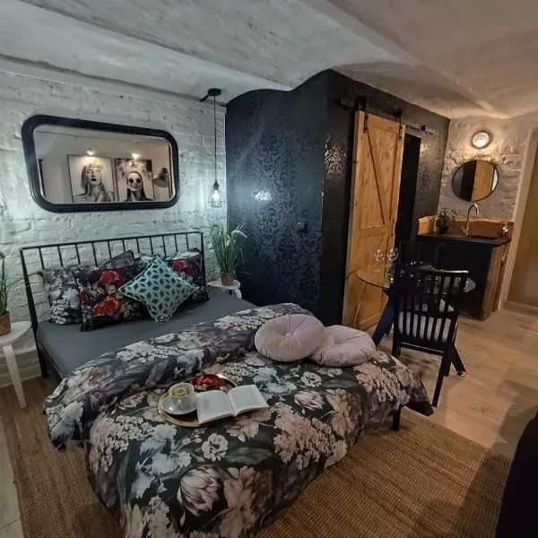 Przytulne Studio 4 z parkingiem，位于卡托维兹的酒店