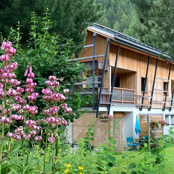 Chalet Walser à VALLORCINE 13 kms CHAMONIX France，位于瓦洛西讷的酒店
