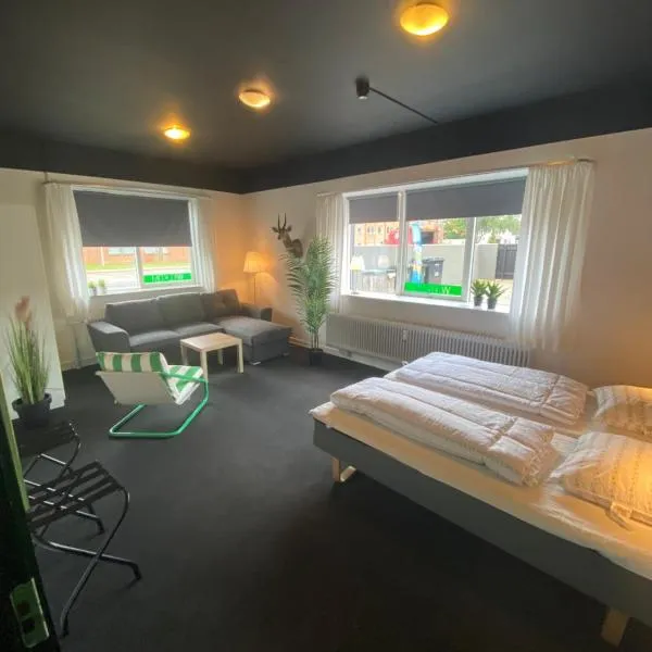 Grindsted - Billund Apartment 2，位于Skovlund的酒店