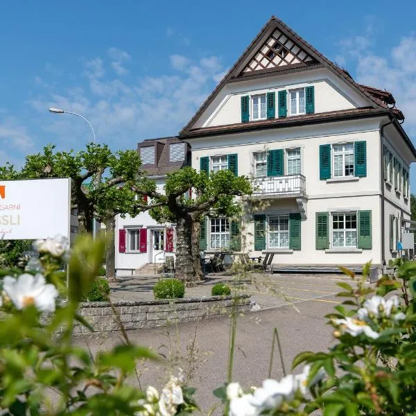 Hotel Garni Rössli - velofreundlich - free parking，位于圣加仑的酒店