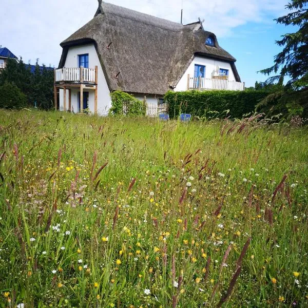 Appartements am Jagdschloss，位于兰肯-格拉尼茨的酒店